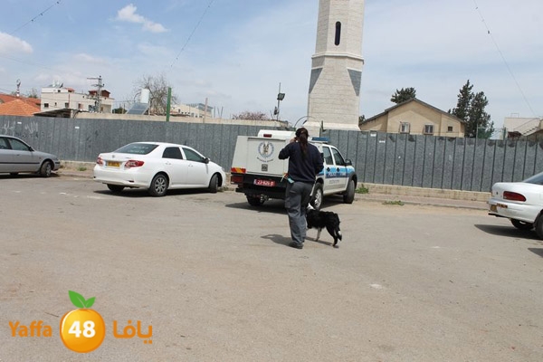 ludpolicedogs411 (8).jpg